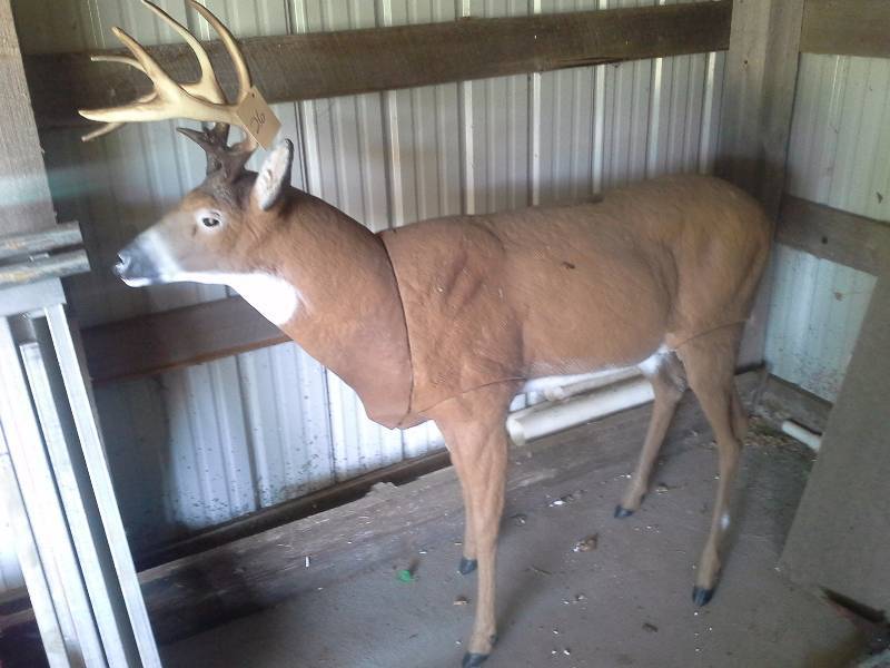 Deer Decoy
