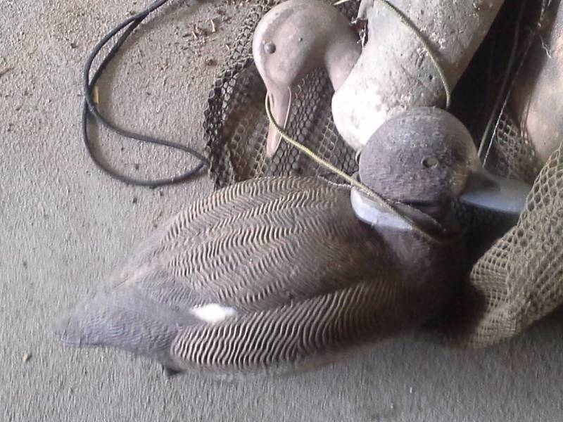 Duck Decoys