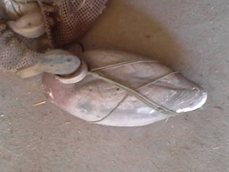 Duck Decoys