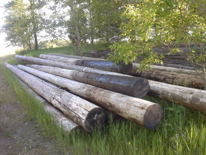 Telephone Poles
