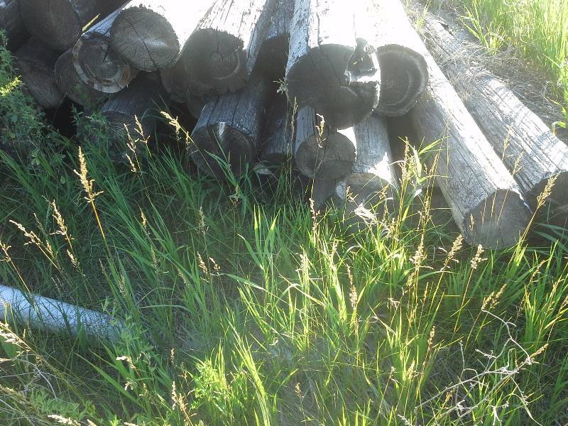 Fence Posts