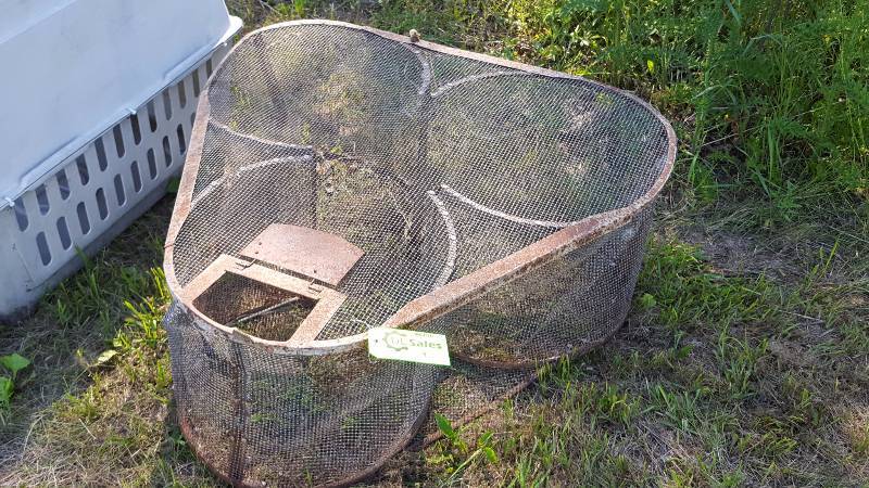 Minnow Trap