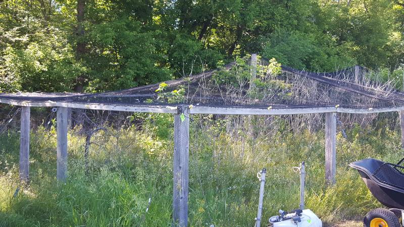 Bird Pen