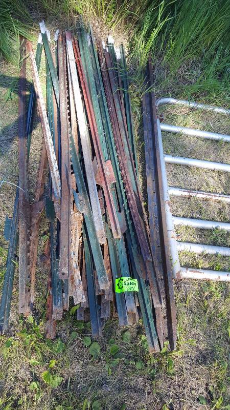 Fence Posts