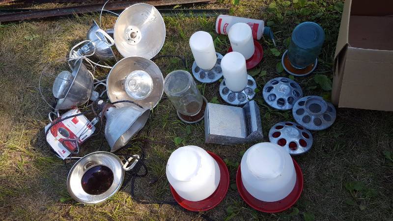 Heat Lamps, Bird Feeders and Waterers