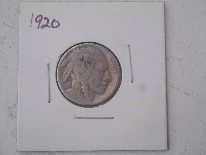 1920 P - Buffalo Head Nickel - Circ...