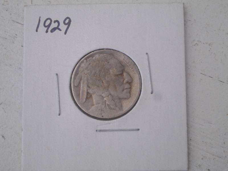 1929 P - Buffalo Head Nickel - Circ...