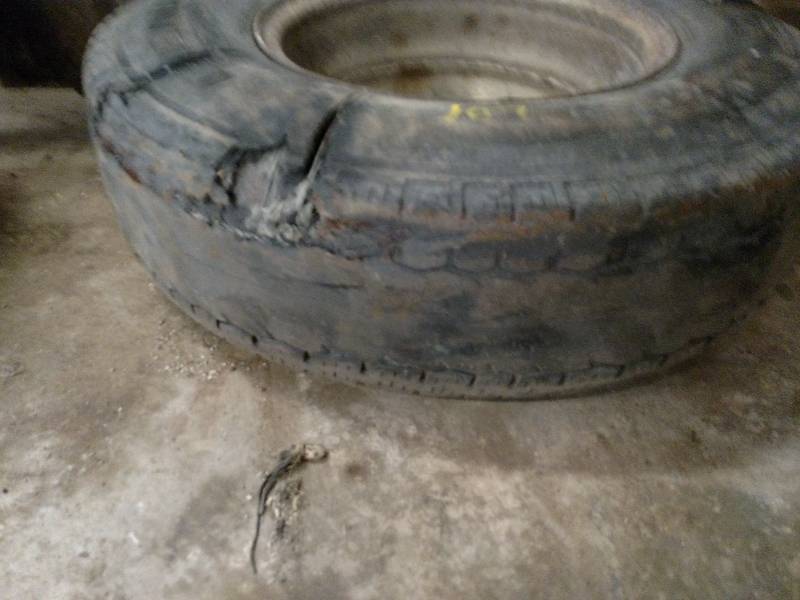lot 109 image: Ford 16 8 Bolt Rim with Tire...