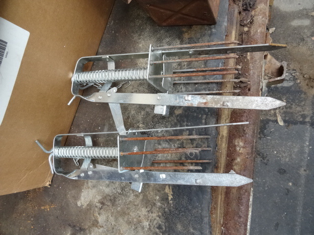 Mole Traps