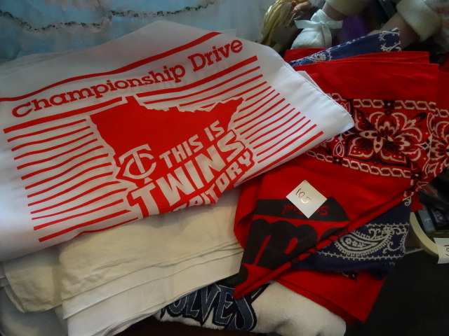 Timberwolves Items & Indian Blanket
