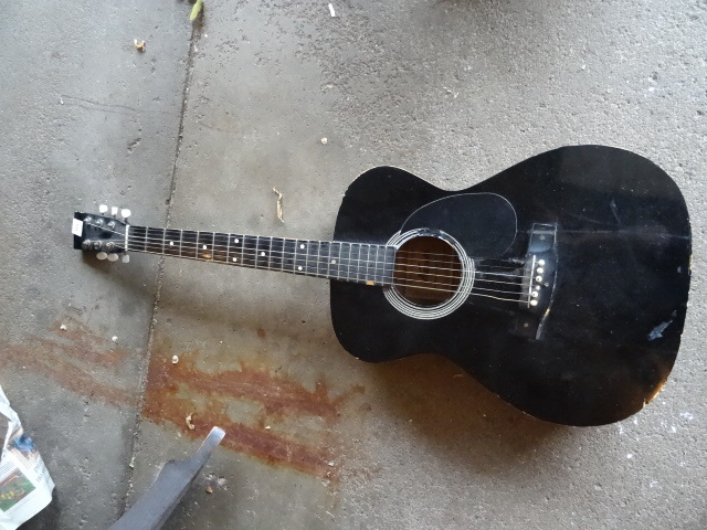 Acoustic Guitar