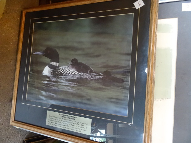 Framed Picture