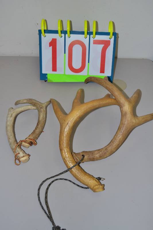 lot 107 image: Deer Rattlers
