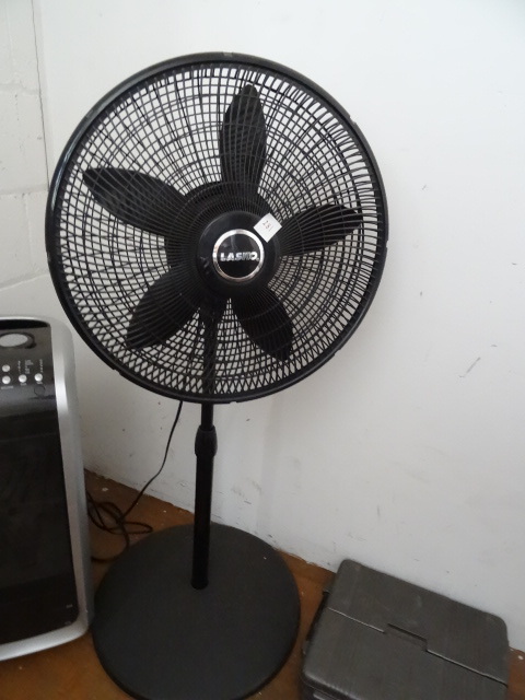 Fan