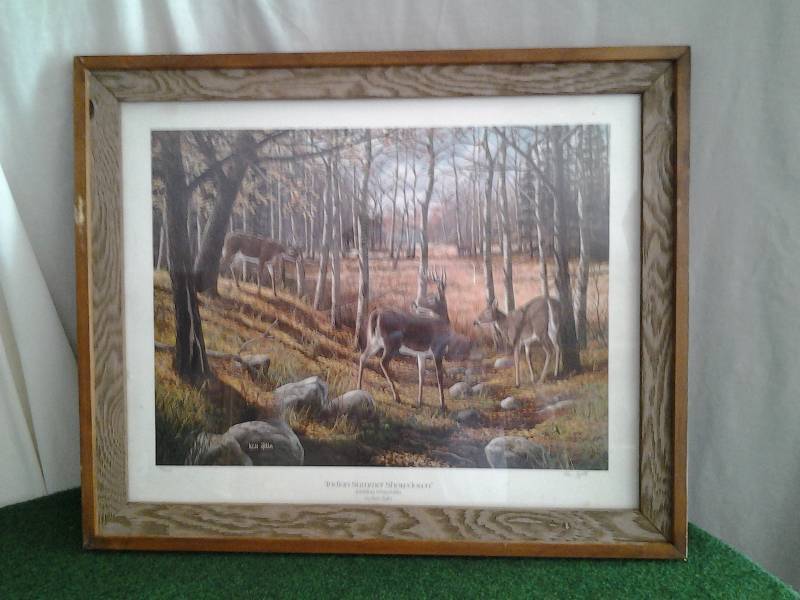 Framed Print Indian Summer By Ken Zylla Signed & Numbered 29x32