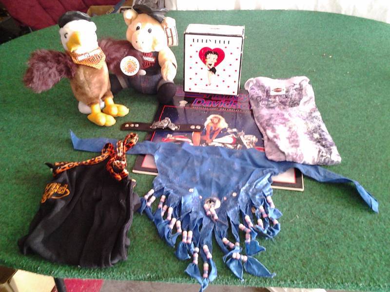 Harley-Davidson Tops, Betty Boop Figurine, Motor Cycle Watch