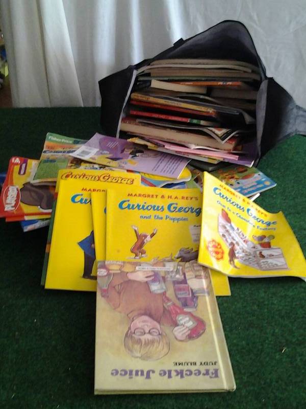 Large Lot Of Childrens Books
