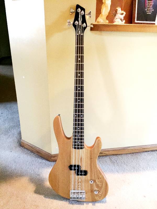 lot 121 image: Washburn Bass and Softside Case