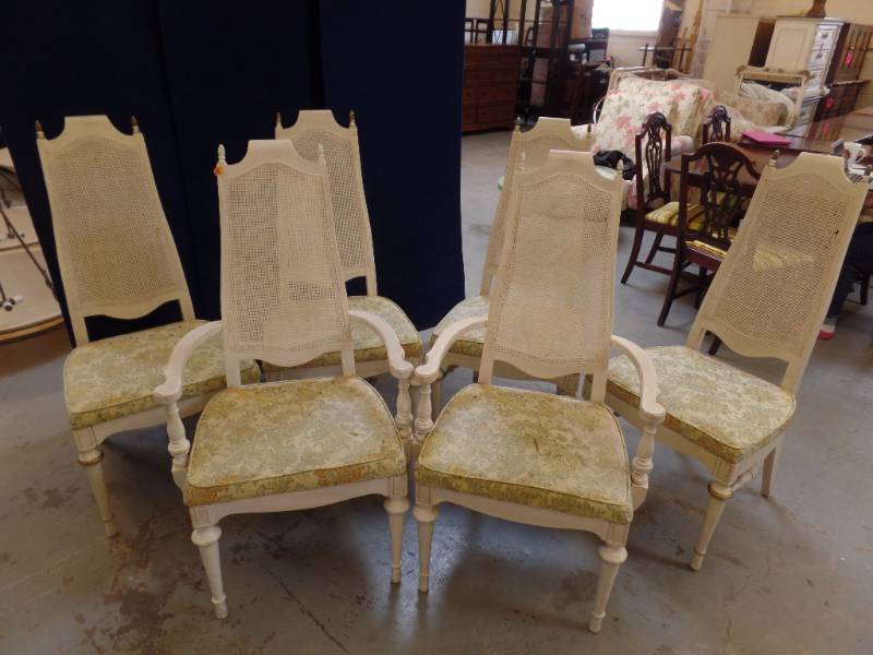 Dining Chairs