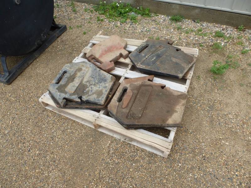 lot 31 image: Suit Case Weights
