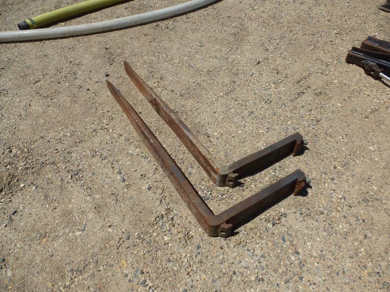 lot 81 image: 48 Forklift Forks