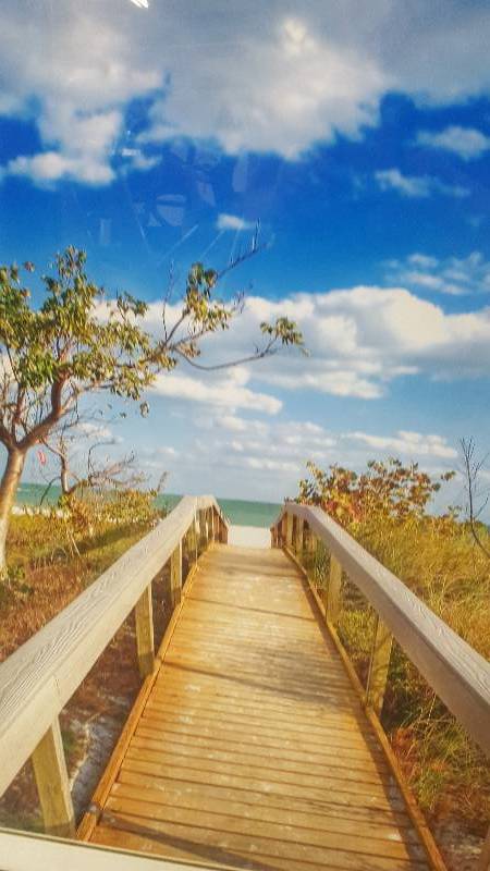 Large Picture. Professionally Framed and matted  Great Colors
