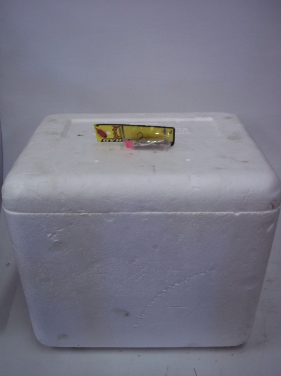 lot 162 image: NEW Fishing Lure with Styrofoam Cooler