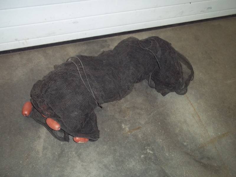 lot 304 image: Minnow Net