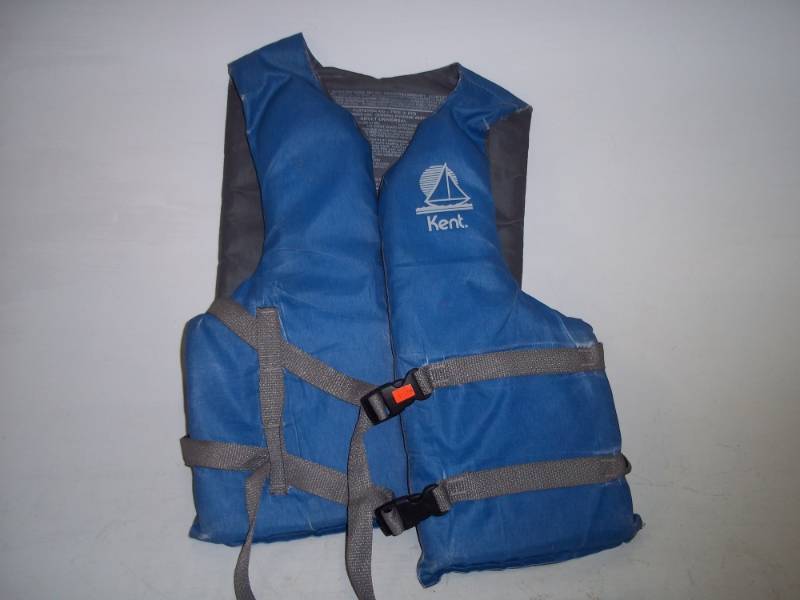 lot 348 image: Adult Lift Vest