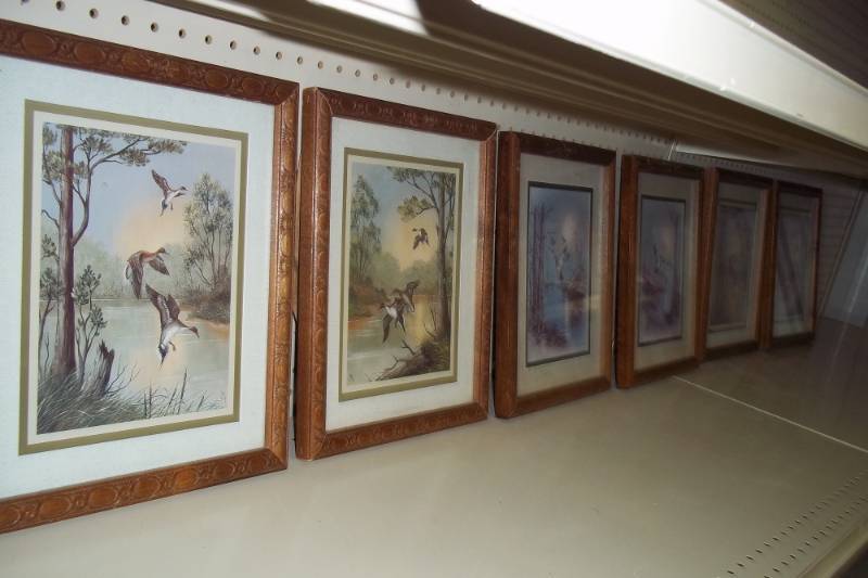 lot 364 image: 6 - 11 x 13 Duck Pictures