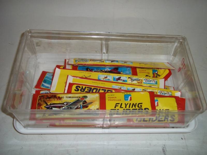lot 419 image: Flying Gliders with storage container