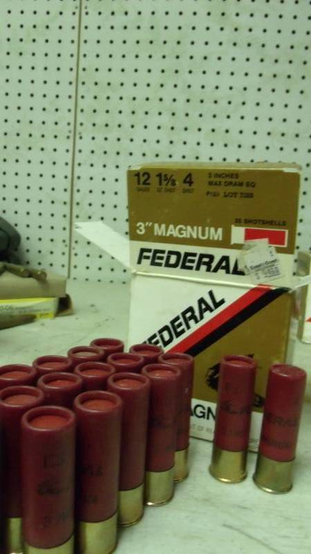 lot 55 image: 12 Gauge Shotgun shells