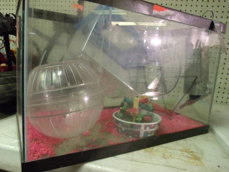 lot 116 image: Aquarium with Hamster Accessories