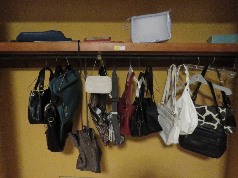 Purse Lot