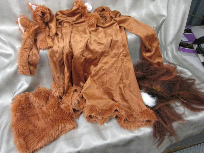 lot 9 image: Girl lion costume Size 10-12...