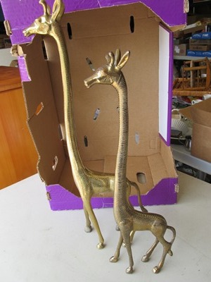 Giraffes