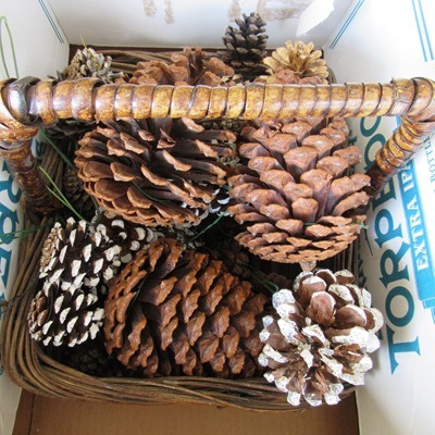 Basket & Pine Cones