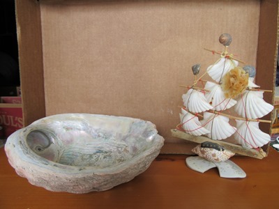 Shells & Shell Ship