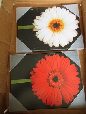 Flower Pictures
