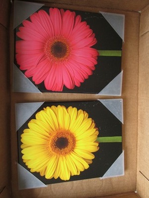 Flower Pictures
