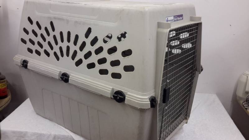 Extra large pet porter