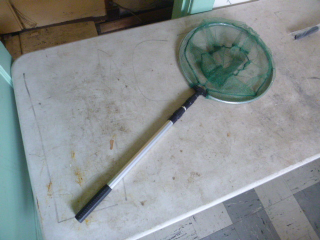 lot 355 image: Telescoping Landing Net