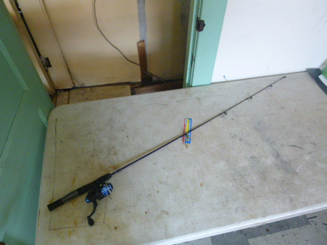 lot 366 image: HT Rod and Reel Lazer