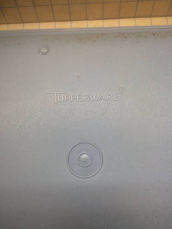 Tuperware food trays