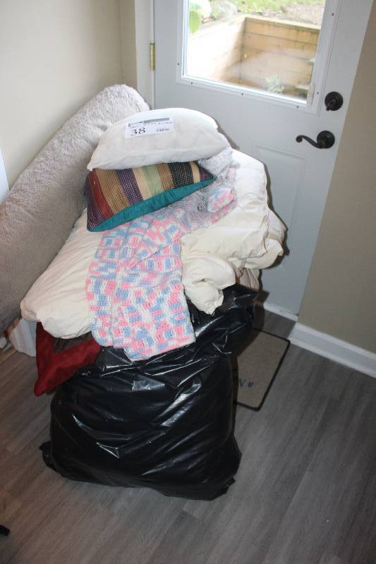 lot 38 image: Lot Including Chair, Pillows, Blankets