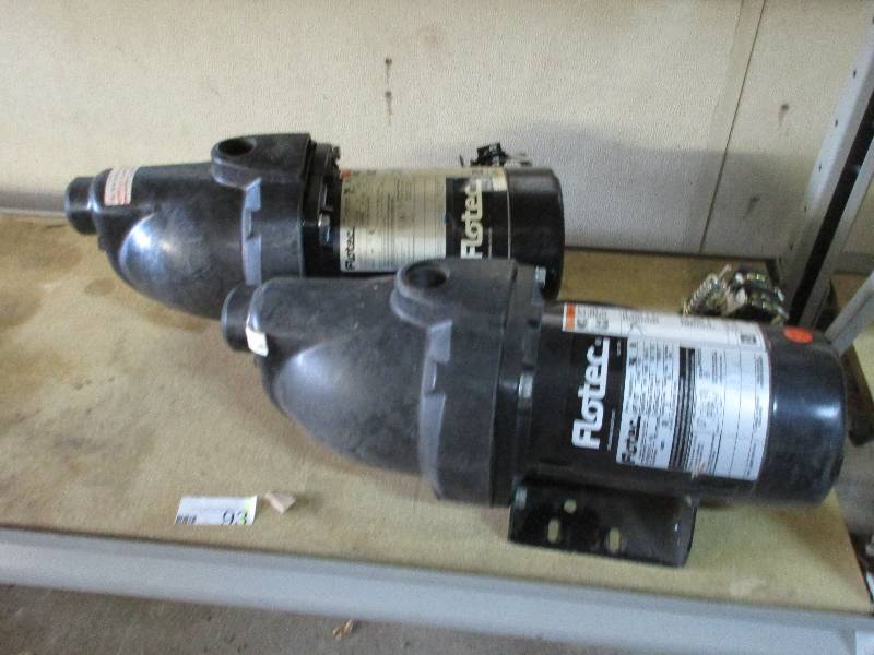 2 Flotec Pumps
