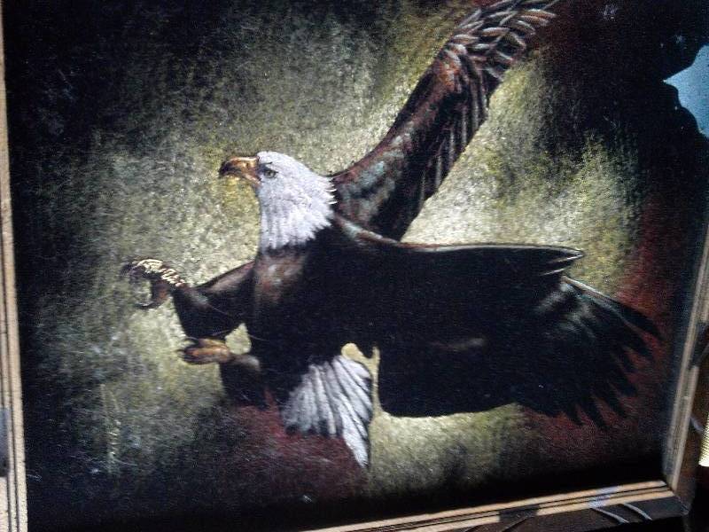 EAGLE PAINTING ON BLACK VELVET