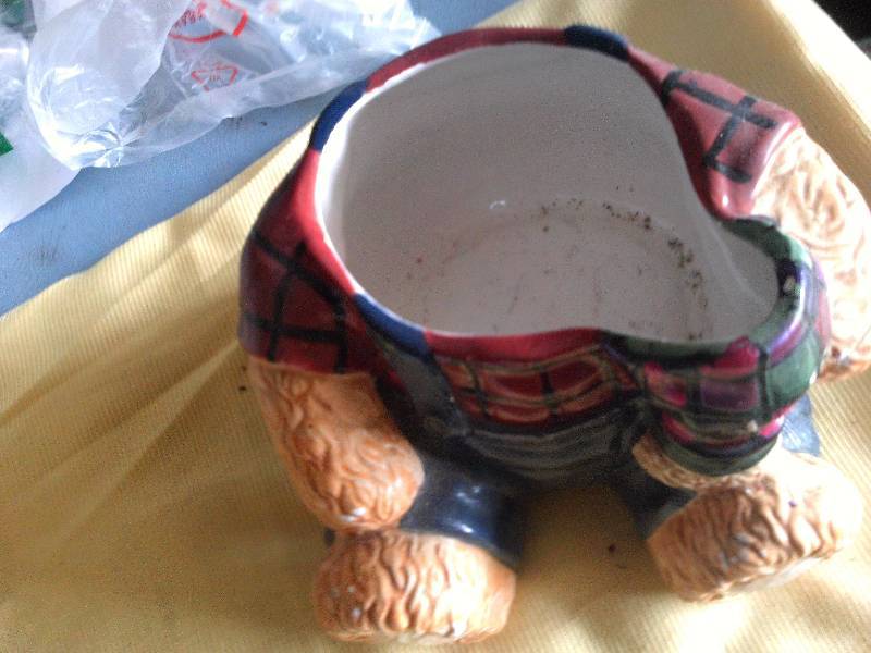 collectible bear cookie jar