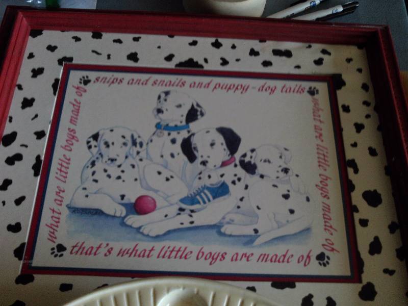 dalmation picture and cooks plate