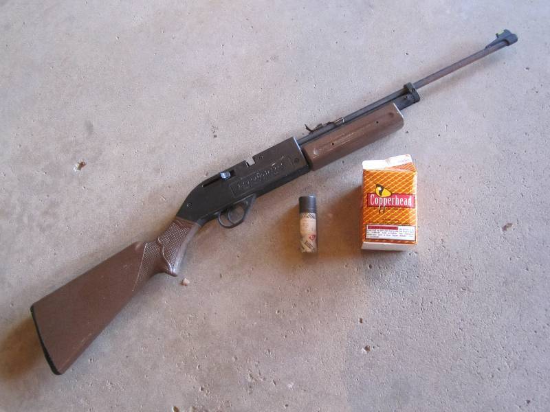 lot 180 image: BB Gun 760 Pumpmaster .177 Cal. Wit...